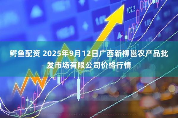 鳄鱼配资 2025年9月12日广西新柳邕农产品批发市场有限公司价格行情