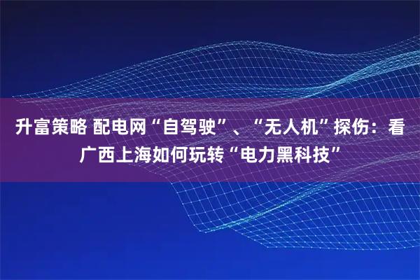 升富策略 配电网“自驾驶”、“无人机”探伤：看广西上海如何玩转“电力黑科技”