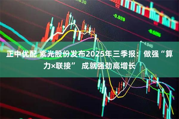 正中优配 紫光股份发布2025年三季报：做强“算力×联接”  成就强劲高增长
