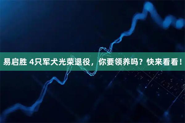 易启胜 4只军犬光荣退役，你要领养吗？快来看看！